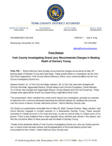 Press Release (Z. Young)